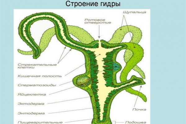 Украли аккаунт кракен